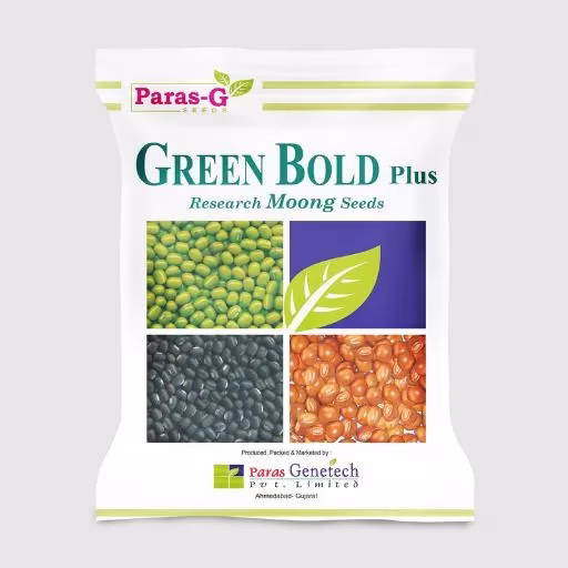 Green Bold Plus Hybrid Moong Seeds