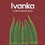 Ivanka Hybrid Okra Seeds