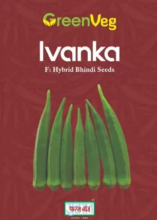 Ivanka Hybrid Okra Seeds