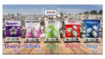 Sujit BG II Cotton Hybrid Seeds - Image 2