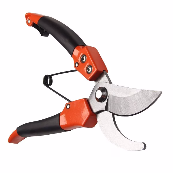 Krushi Vikas Gardening Tools- Stainless Steel Tiger Cutter Plant Cutter Tree Cutter Garden Shears Pruners Scissor, Garden Scissors Pruning Seeds, Leaf Cutter, Flower Cutter