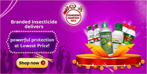 Eng_Insecticide_P2_7241984c-c46f-4cf0-9caf-f4140af4a7bd_1200x600